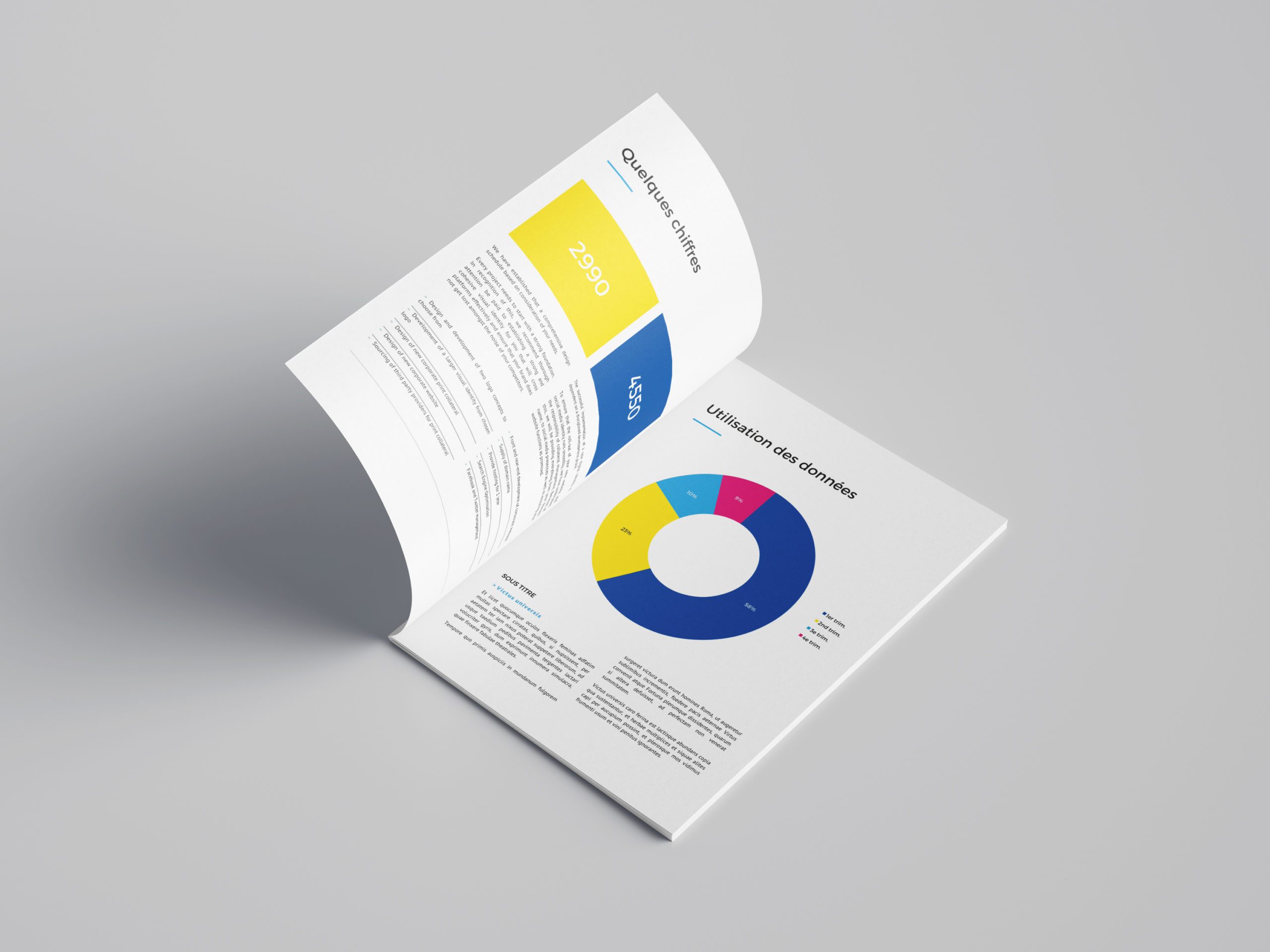 rapport annuel INDS