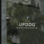 création du logo Updog