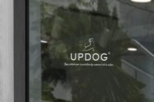 création du logo Updog
